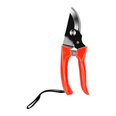 Manual Pruners