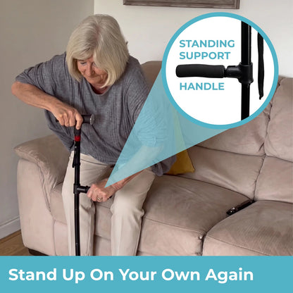 Quenzly® StandSecure Cane